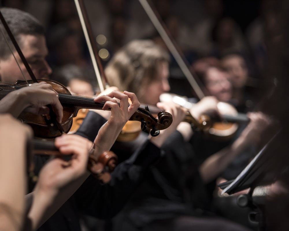 A Fascinante História do Violino na Música Clássica